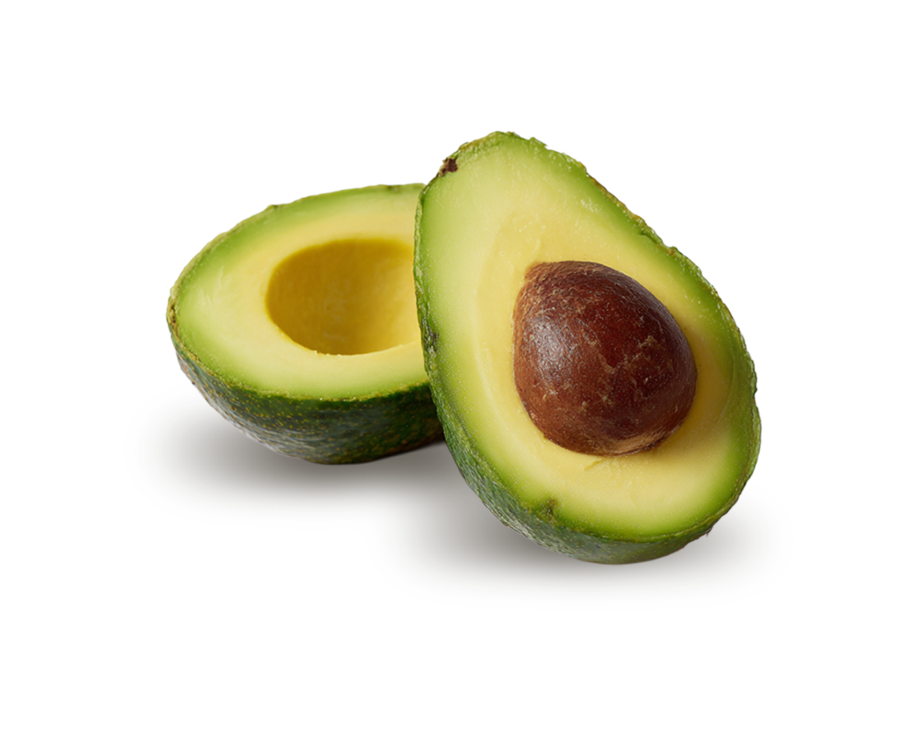 Palta